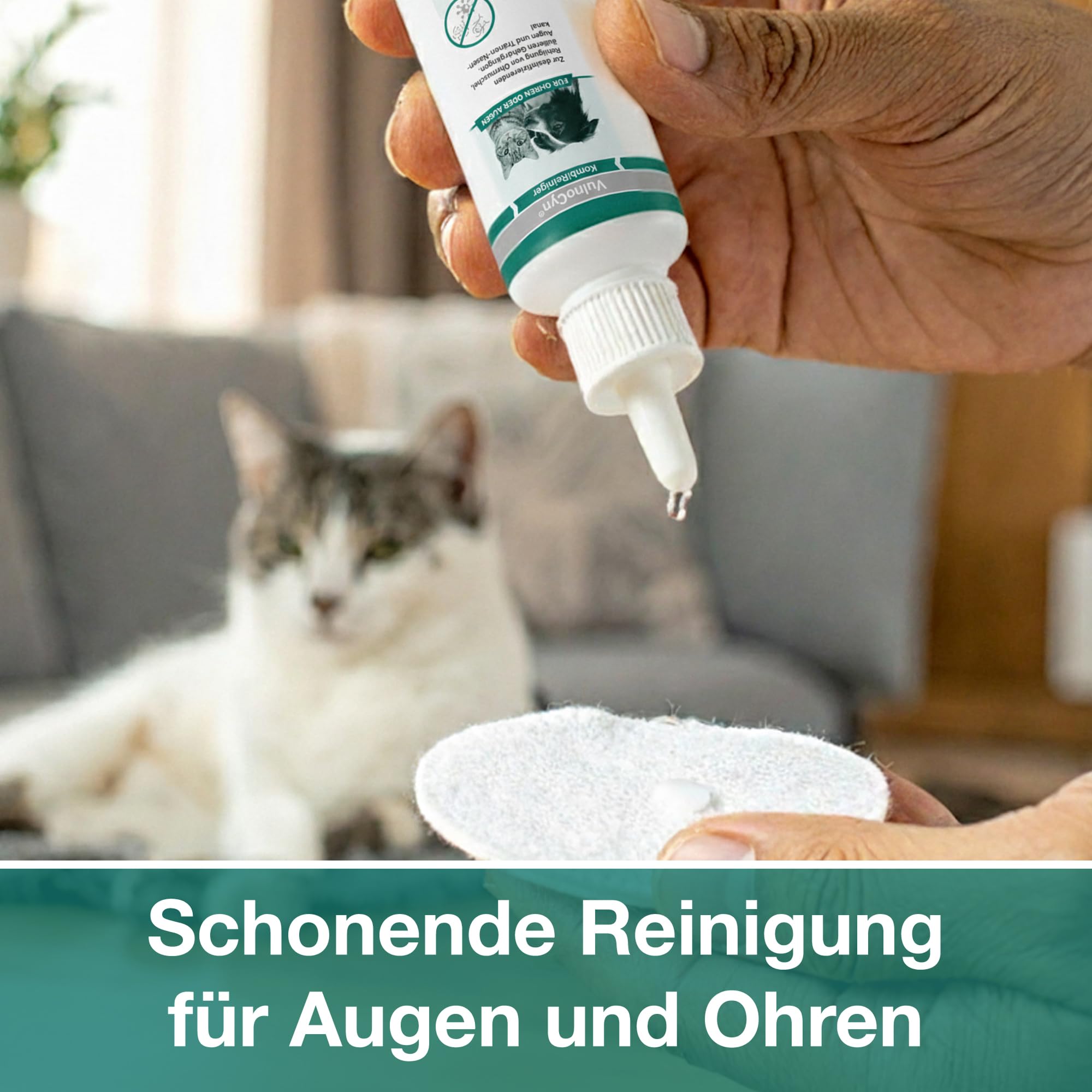 alfavet VulnoCyn KombiReiniger 50 ml – Augen- & Ohrreiniger für Katzen, Hunde & Kleintiere – Antiseptikum zur Ohren- & Augenpflege – Desinfizierende Reinigung, pH-neutral, ohne Antibiotika & Alkohol