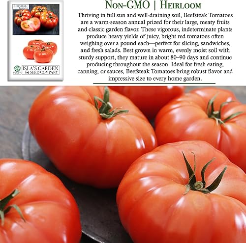 Miniatura 3 de Semillas de tomate Beefsteak (Solanum lycopersicum) – Más de 300 semillas sin OMG y reliquias, tomates grandes y jugosos para rebanar, perfectas