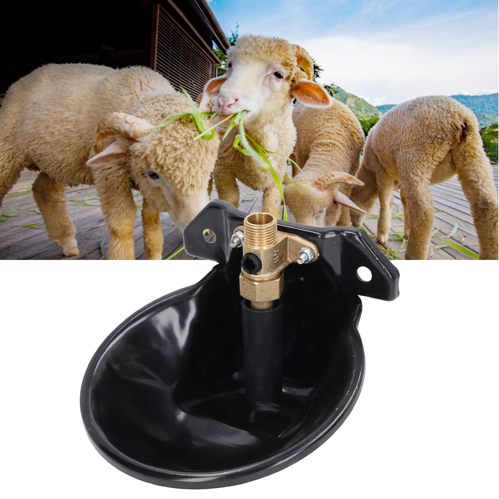 Abbeveratoio automatico per bestiame, ciotola per acqua con interruttore touch, in acciaio inox, ideale per uso agricolo