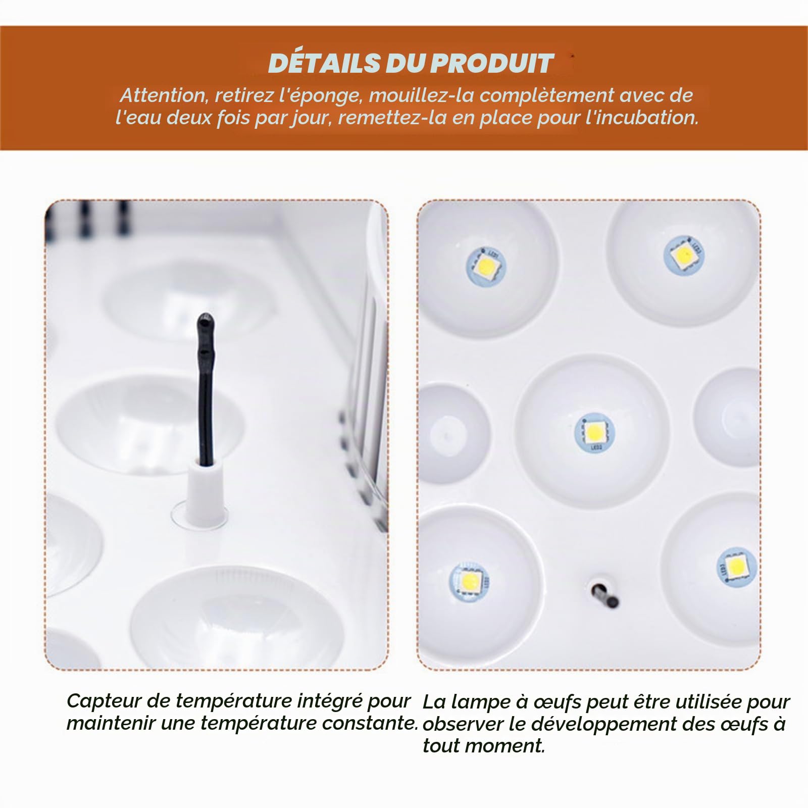 Mini 9 Oeufs Incubateur Couveuse Poussin avec Automatique De La TempéRature et Affichage NuméRique LED Incubateur Tortue pour Volaille Reptile Cadeau pour Enfants