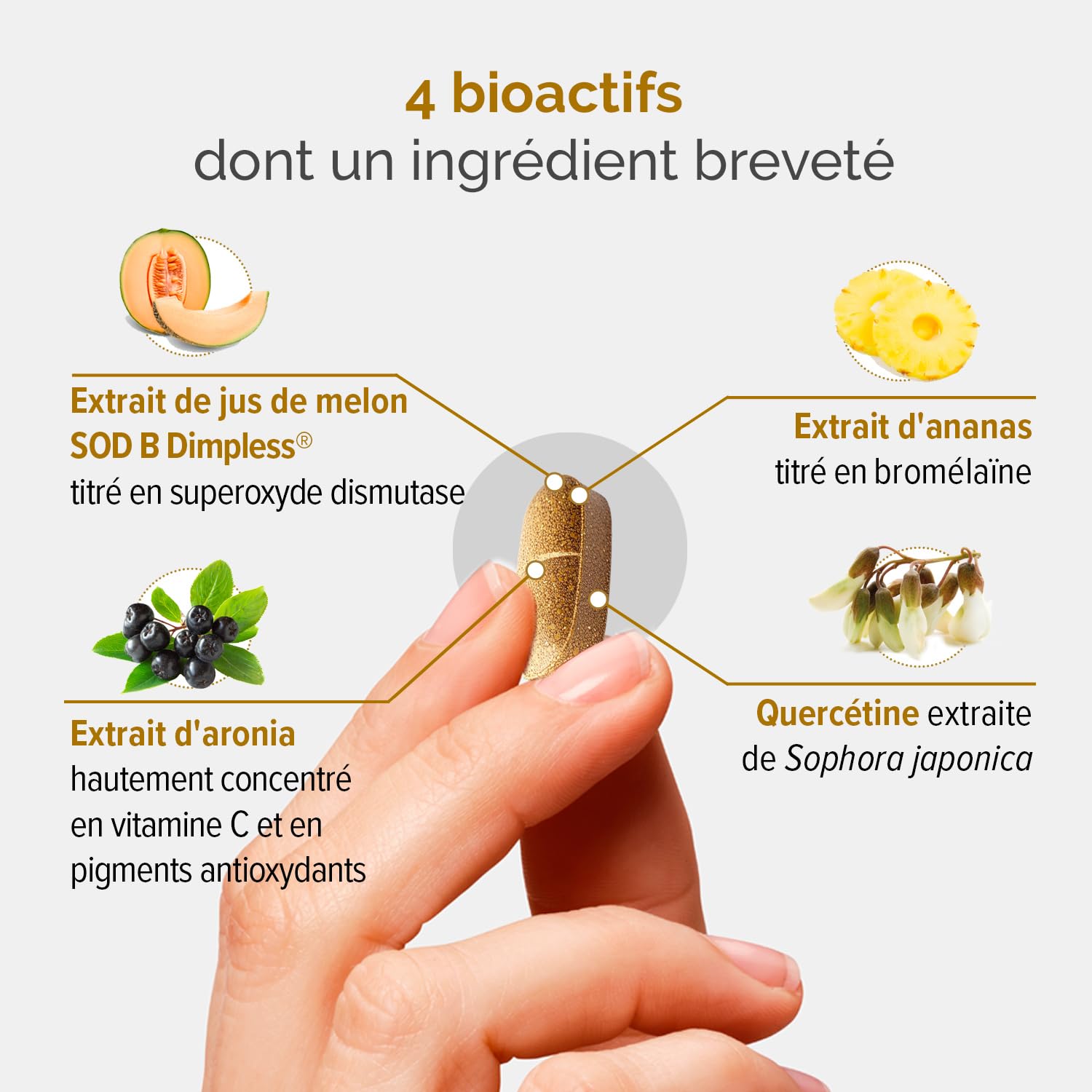 THERASCIENCE DERMASSENTIEL CELLULITE 30 comprimés Action anti-capitons Superoxyde Dismutase de Melon Quercétine Bromélaïne Aronia