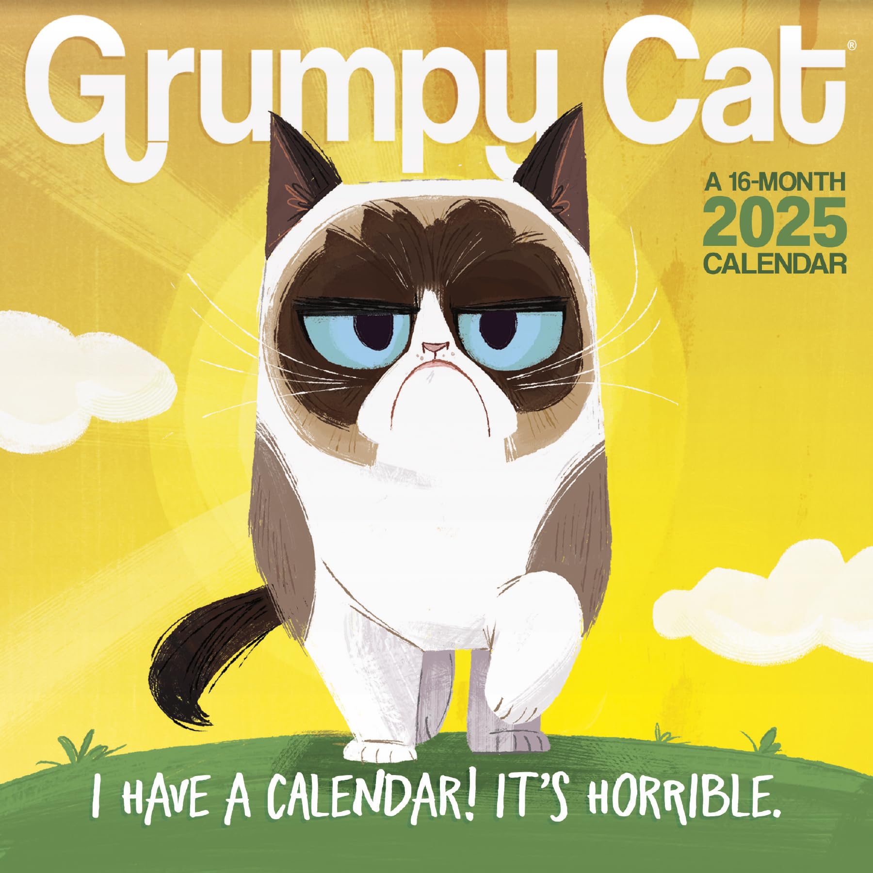 2025 Grumpy Cat Mini Wall Calendar Amazon.ca Office Products 2025 Grumpy Cat Mini Wall Calendar Amazon.ca Office Products