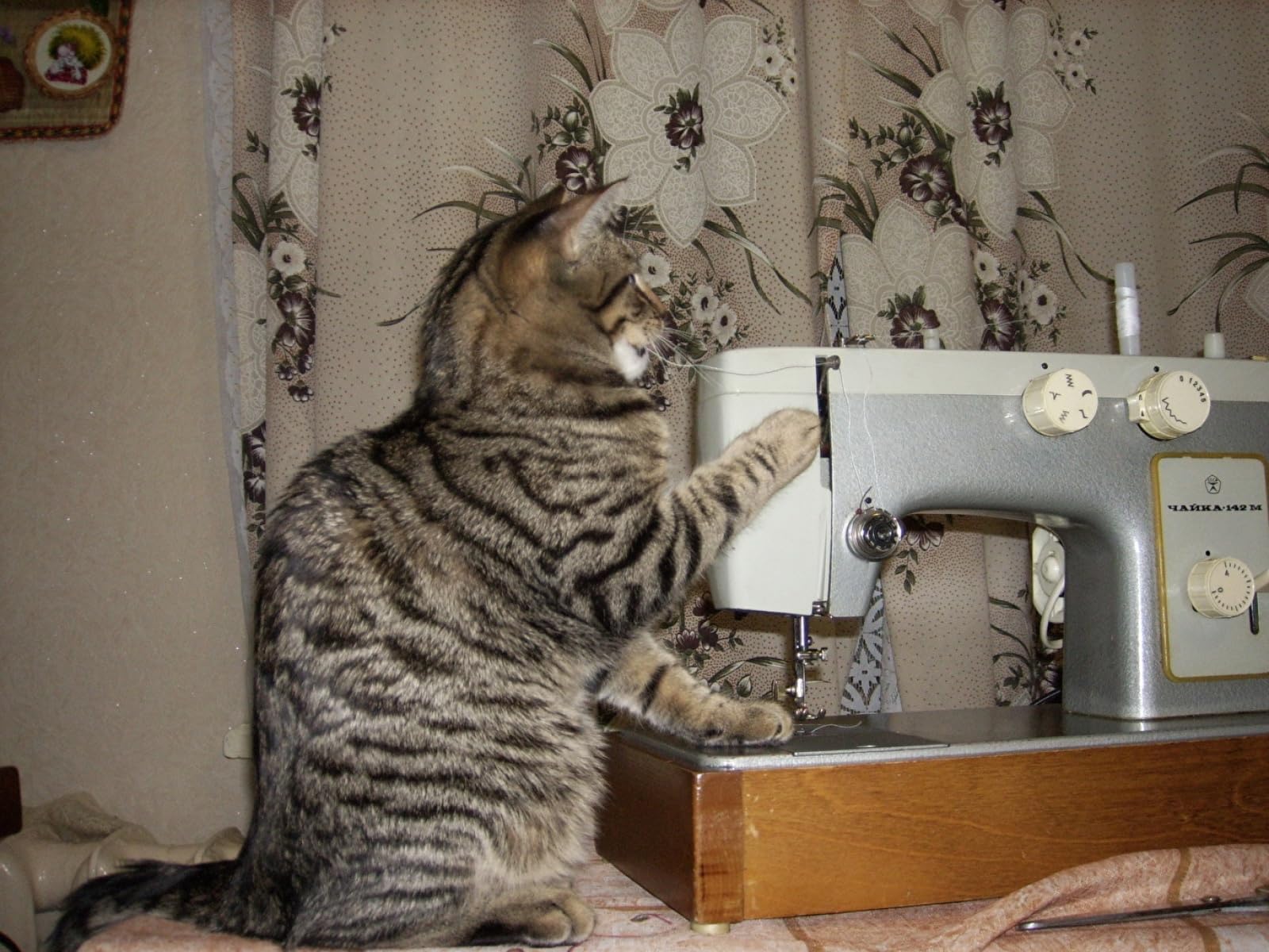 puzz 3D Puzzle 1500 Piezas Animales de máquina de Coser de Gatos 87x57cm