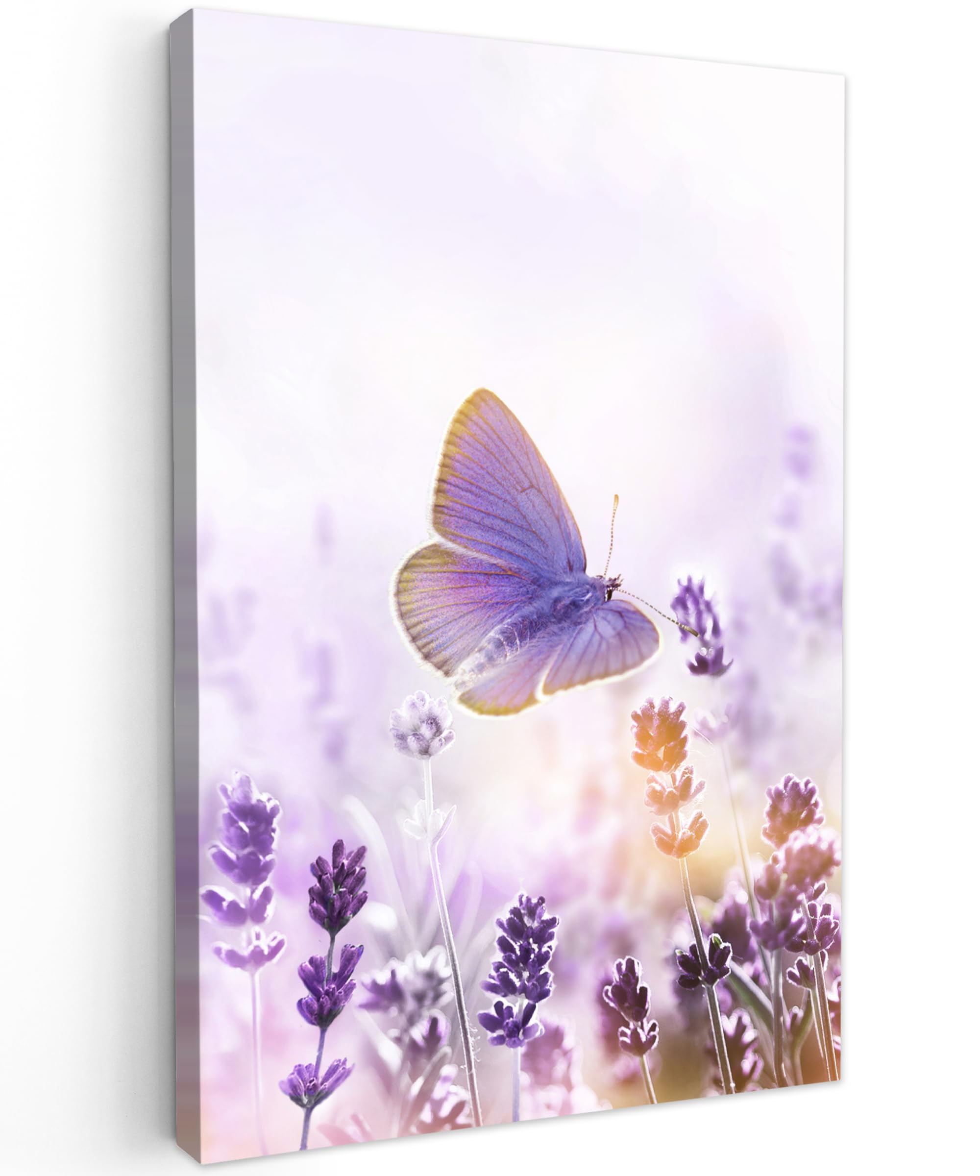 MuchoWow© Canvas Wall Art 31"x47" / 80x120 cm Home Decor Paintings for Living Room Decorations Gifts Hallway Lavender - Butterfly - Purple - Flowers - Nature — image 1