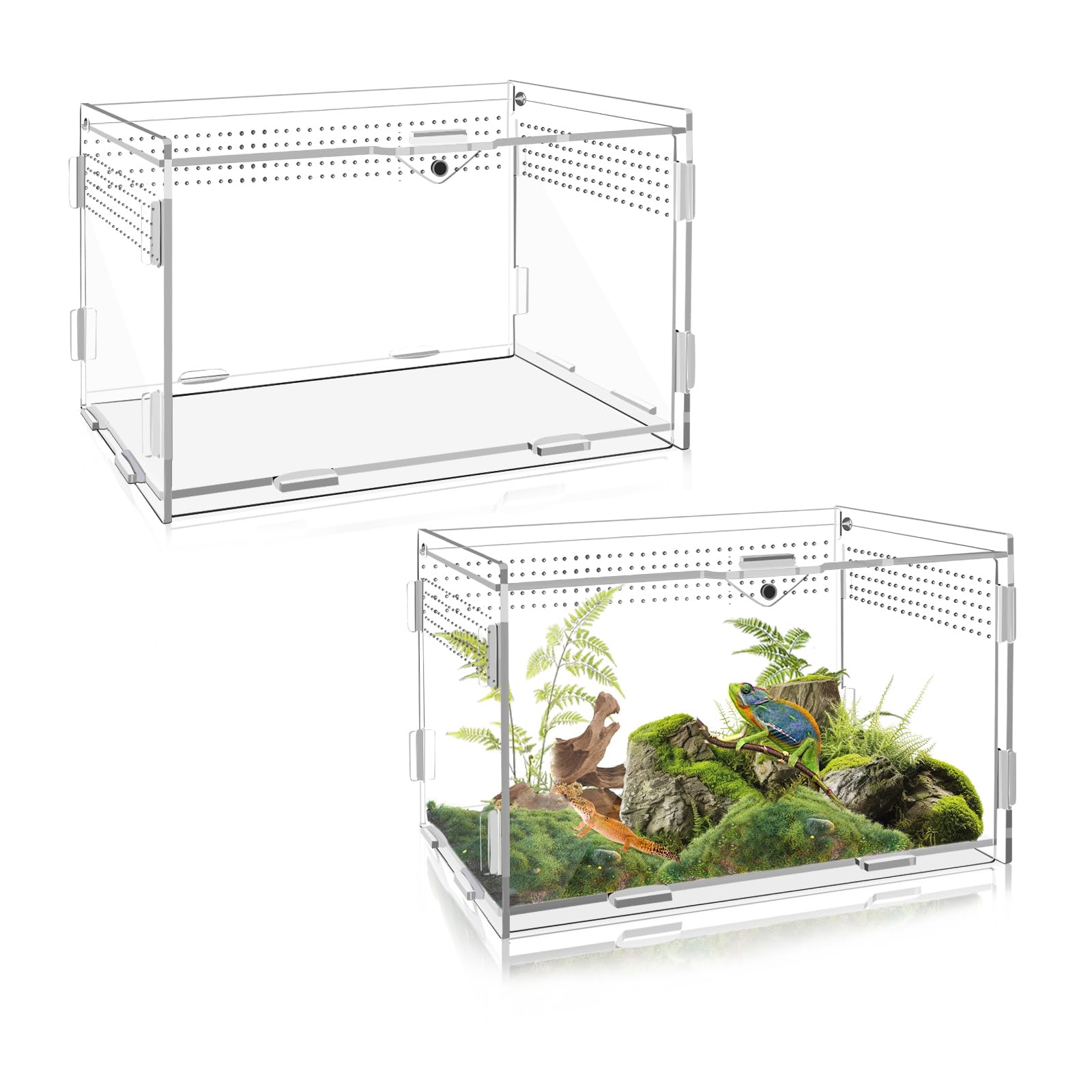 Terrarium acrylique 20 x 12 x 12 cm résistant pour isoler un reptile