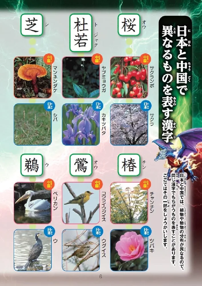 チャレンジ小学国語辞典 小学新漢字辞典 新国語辞典 初級クラウン英和辞典 チャレンジ小学国語辞典 小学新漢字辞典 新国語辞典 初級