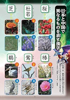 お値下！書道関連書籍、辞典　六冊セット お値下！書道関連書籍、辞典 六冊セット お値下！書道関連書籍、