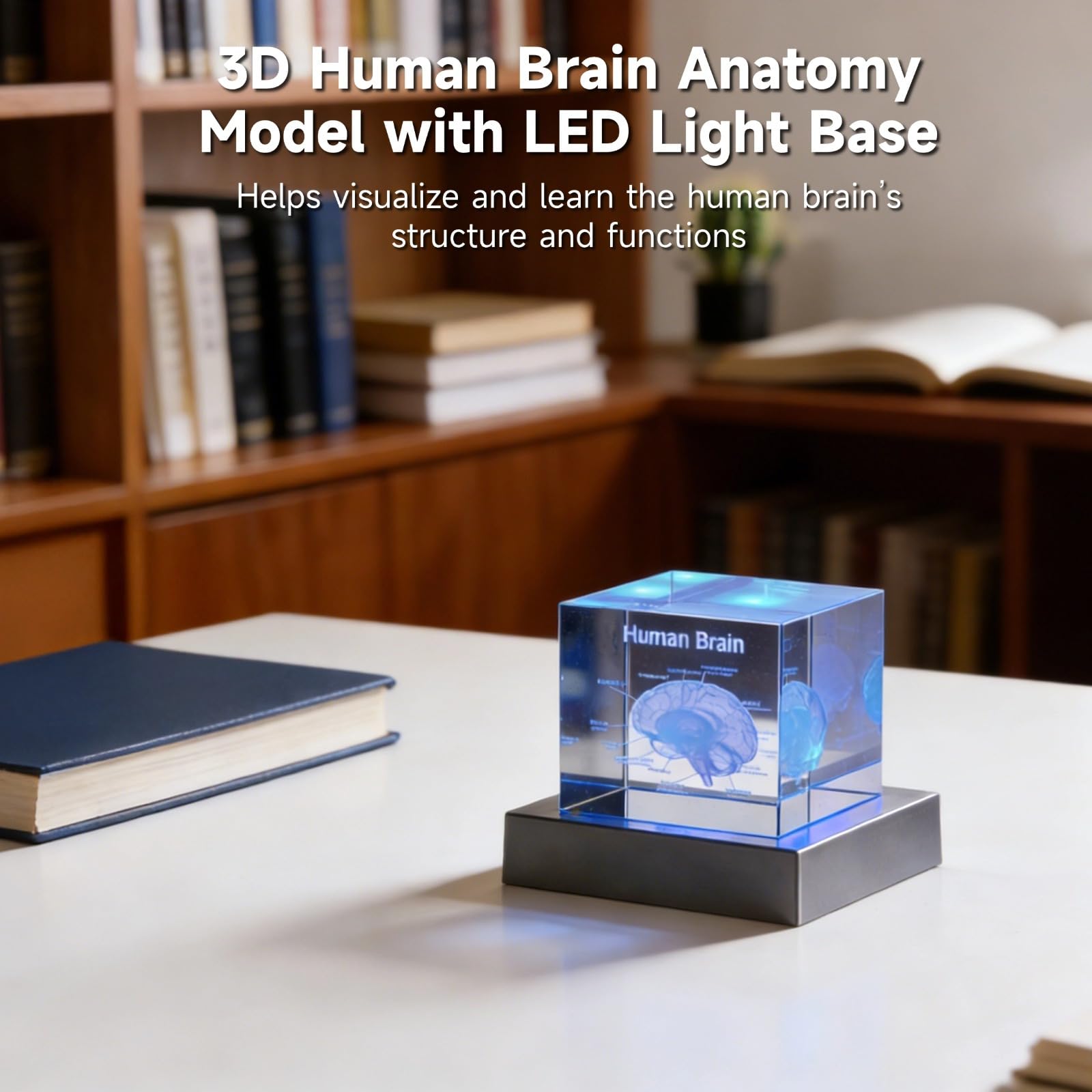 Model ludzkiego mózgu 3D z podstawą światła LED, kryształowa kostka, przycisk do papieru, grawerowany laserowo, prezent dla lekarzy, absolwentów, entuzjastów psychologii