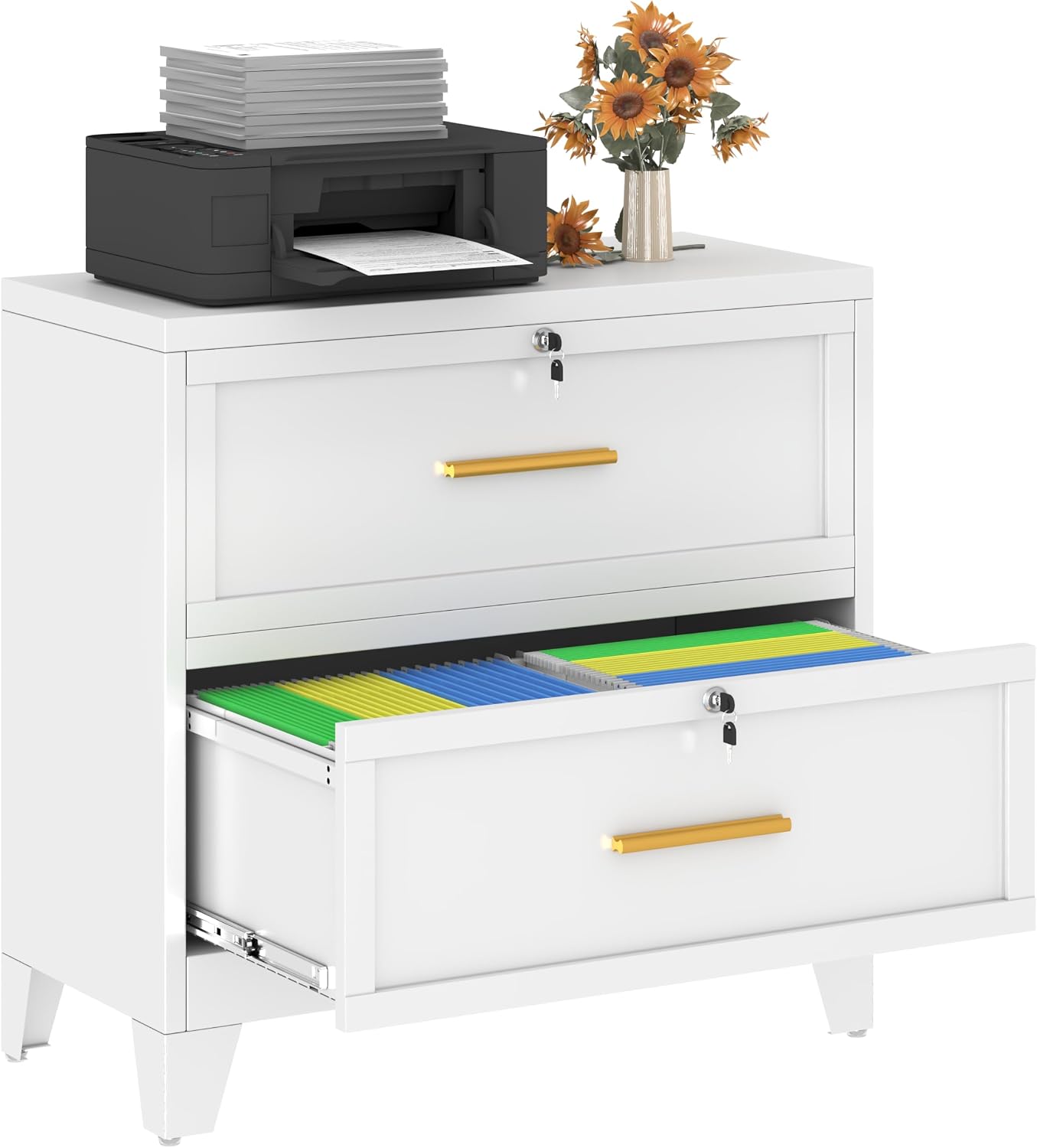 GAIOUS 2 Drawer File Cabinet with Lock, Metal Lateral Filing Storage Cabinet for Office Home, Steel Vertical File Cabinets for Letter A4 Size, White Under Desk File Drawer, Assembly Required