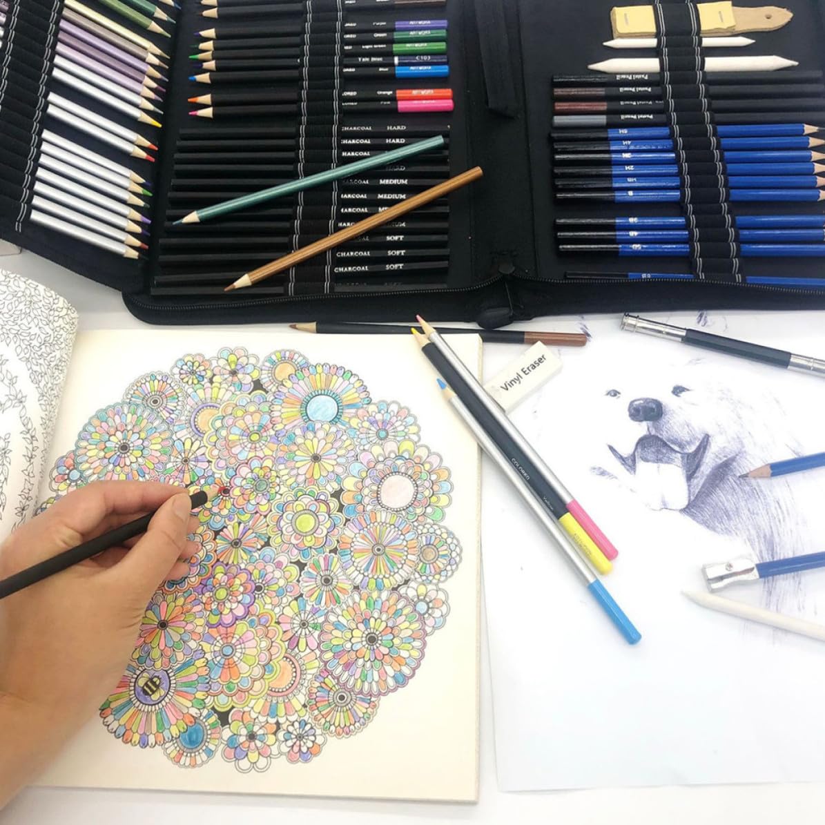 Gadpiparty Set da Disegno Professionale 72 Pezzi Matite Colorate Solubili in Acqua e Carboncini in Legno, Facile da Temperare e Sicuro, per Scrapbook e Libri da Colorare per Adulti