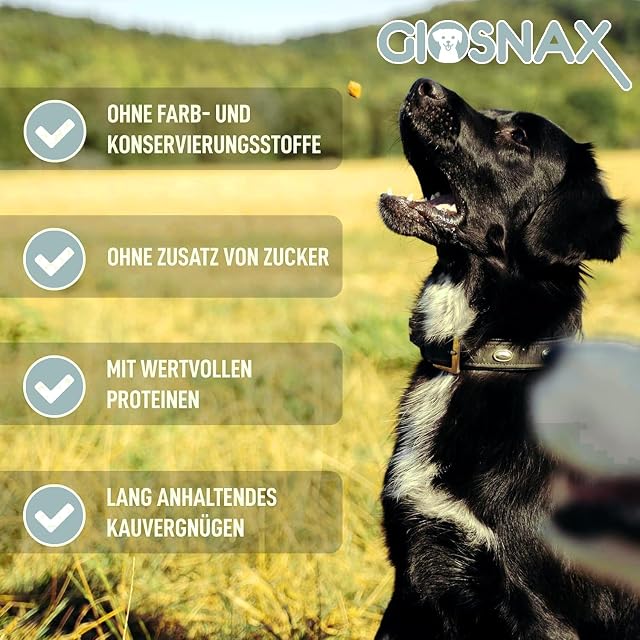 Foto 2 de 7 de GIOSNAX Orejas de Vacuno secas para Perros, 100% Vacuno, Huesos de Perro como pienso Individual (5 Unidades)