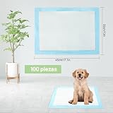 Ver la foto 2