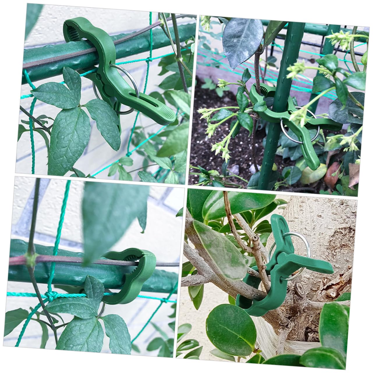 60stücke Pflanzenstützclips Gartenclips Zur Unterstützung Von Tomaten Orchideen Und Anderen Kletterpflanzen Flexible Und Robuste Rankhilfe Für Gesunde Pflanzenentwicklung