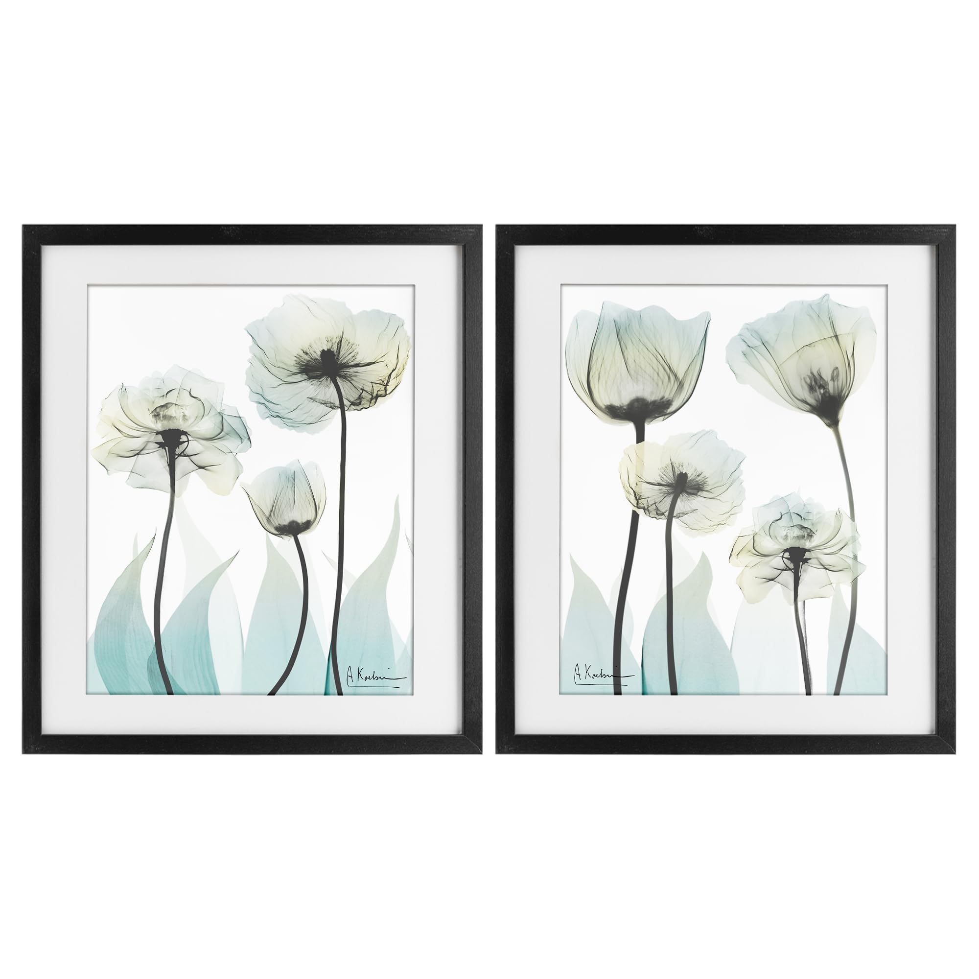 Stupell Industries 'Luxury Of Creation Flowers', 2pc Framed Print Under Glass Set, Black, 13 x 16 Inches, Easy to Hang and Sturdy, Made in USA, by Albert Koetsier