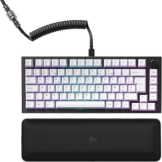 Glorious Gaming GMMK PRO 75% Modulare mechanische Gaming-Tastatur, TKL, Rahmen 1,5 kg, anpassbar, Spiralkabel, Handgelenkauflage, weiße Tasten, RGB, Französisches AZERTY-Layout, Schwarz