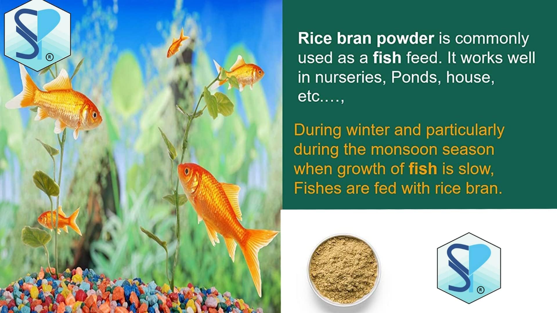 Rice Bran Powder | Rich in Fiber and Antioxidants | Daily diet fiber, Nourish skin, Aquarium feed (200 gm)