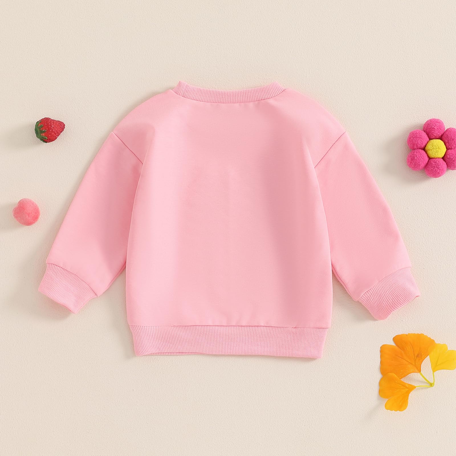 Big Sister Maglione Felpa Manica Lunga T Shirt Top Bambino Ragazza Primavera Autunno Vestiti