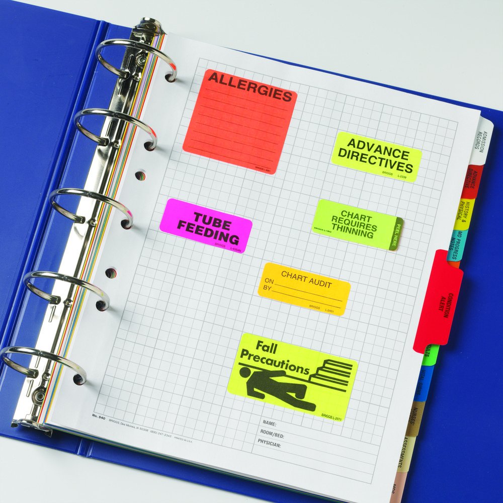 Buy Briggs care Chart Divider Tabs Paper Condition Alert 25 Tabs