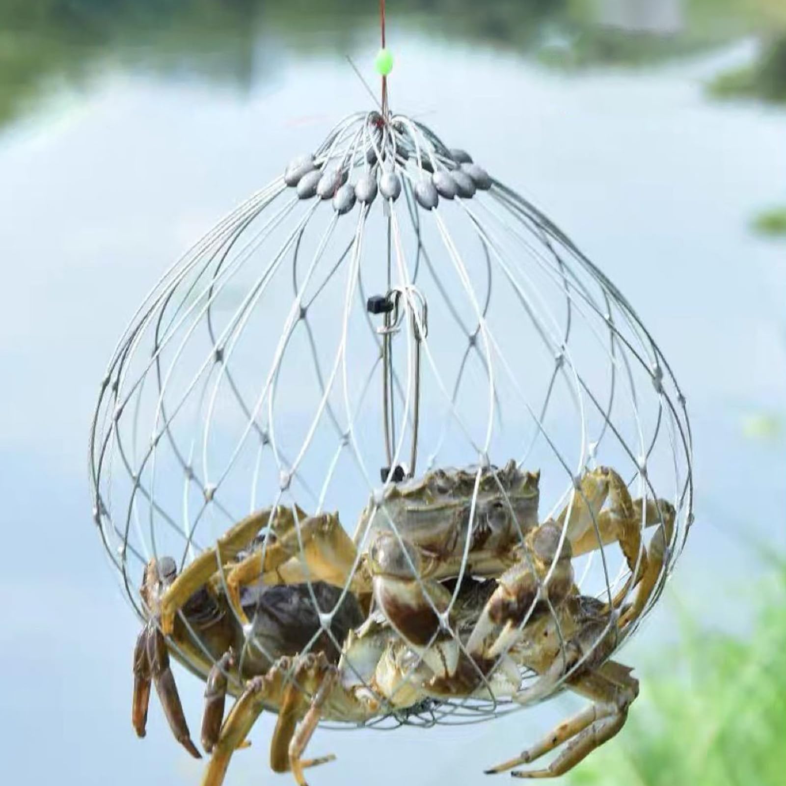 Jaula para Cangrejos - Jaula Cebadora para Trampas de Cangrejos de Alambre de Acero - Equipo de con Red para Camarones en Río Lago Agua Dulce y Salada Exterior