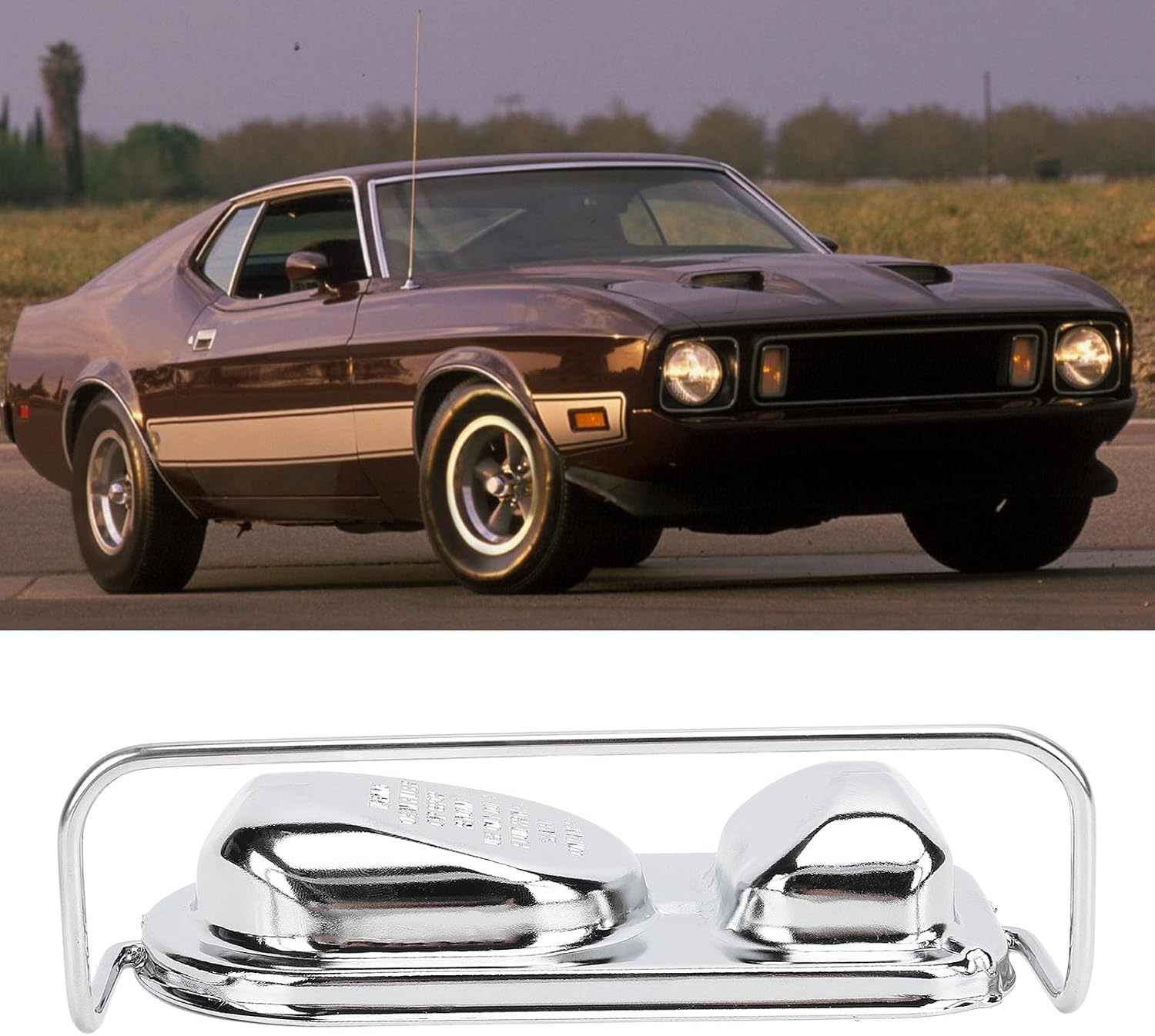 Master Cylinder Cover Cap: Metal Chrome Brake Master Cylinder Cover, Compatible with FORD & Bendix Style Master Cylinders 1973 to 1983