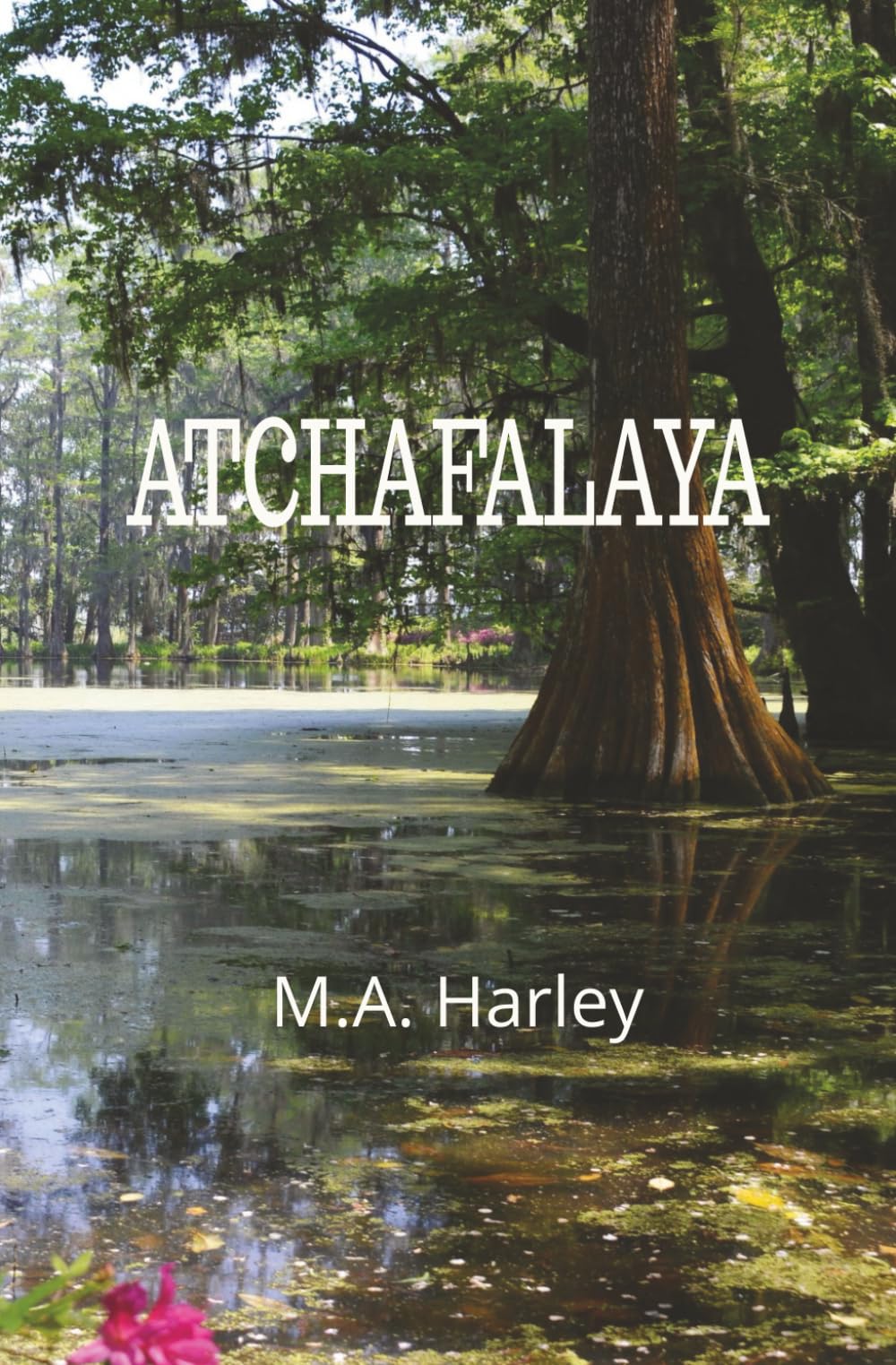 Atchafalaya: A Paranormal Sci-Fi Swamp Adventure