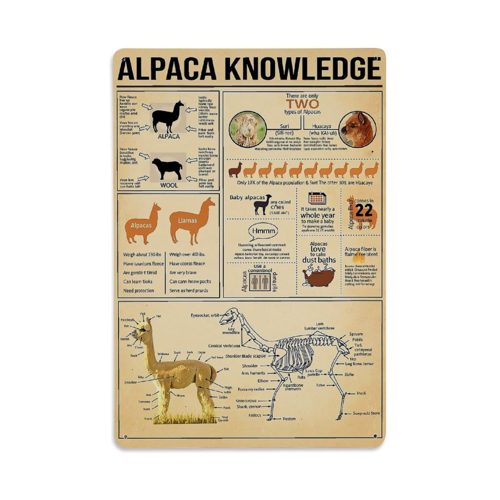 Jdyaojiesheng Vintage Alpaca Knowledge Infographic Pattern Print Tin Sign Retro Metal Wall Decor Metal Poster, Home Bar Garage Farmhouse Cafe Wall Art Decoration 8X12inches