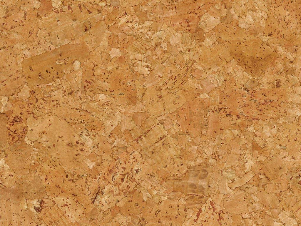 Corcho Producto de Limpieza Suelo Alta Concentración 10 Litros Korkbodenreiniger Para Engrasado Y Encerado Suelo Corcho