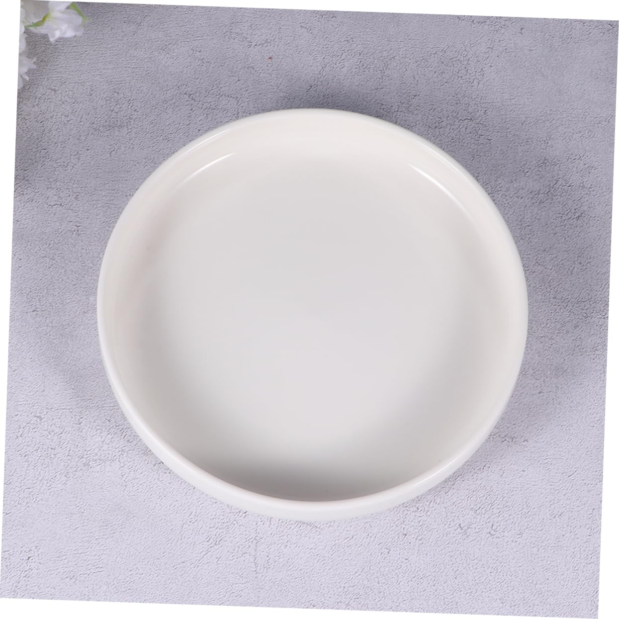Milisten Ciotola per Rettili in Ceramica Bianca Leggera e Affidabile, Vaso Basso Adatto per Lucertole e Rane, per Mangiatoia per Tartarughe