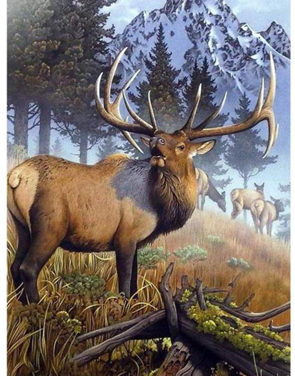 Zariocy 5D Diamond Painting Kits Cerf, Peinture à Faire Soi