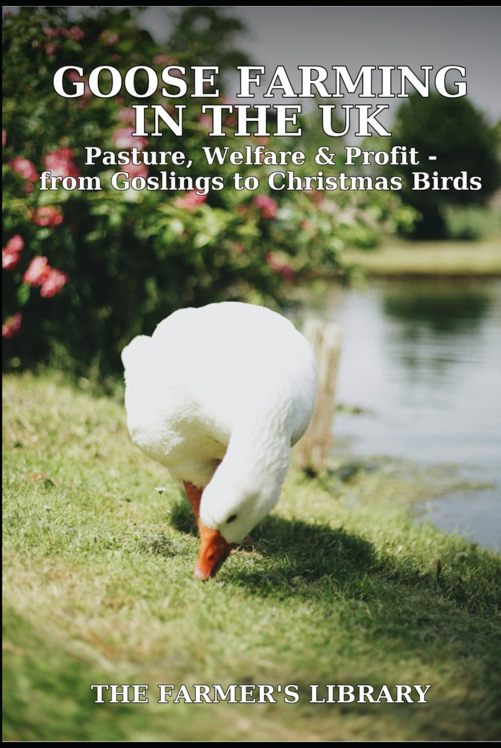 Goose Farming in the UK for Beginners: A Practical Guide to Pasture, Welfare, Grazing, Growth, and Profitable Christmas Goose Production