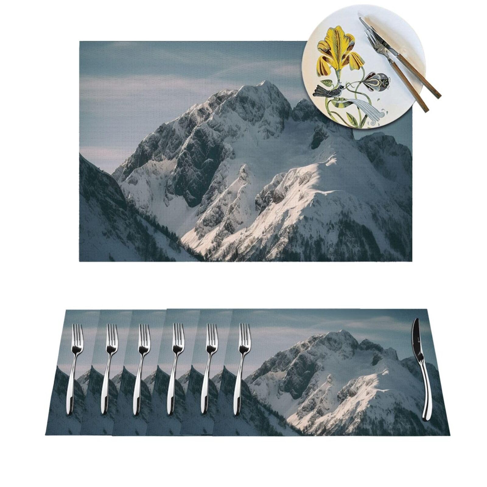 Sets de table en PVC résistant à la chaleur et lavable lot de 6