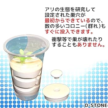 太陽と蟻 5月 | 2023 | anttech.jp