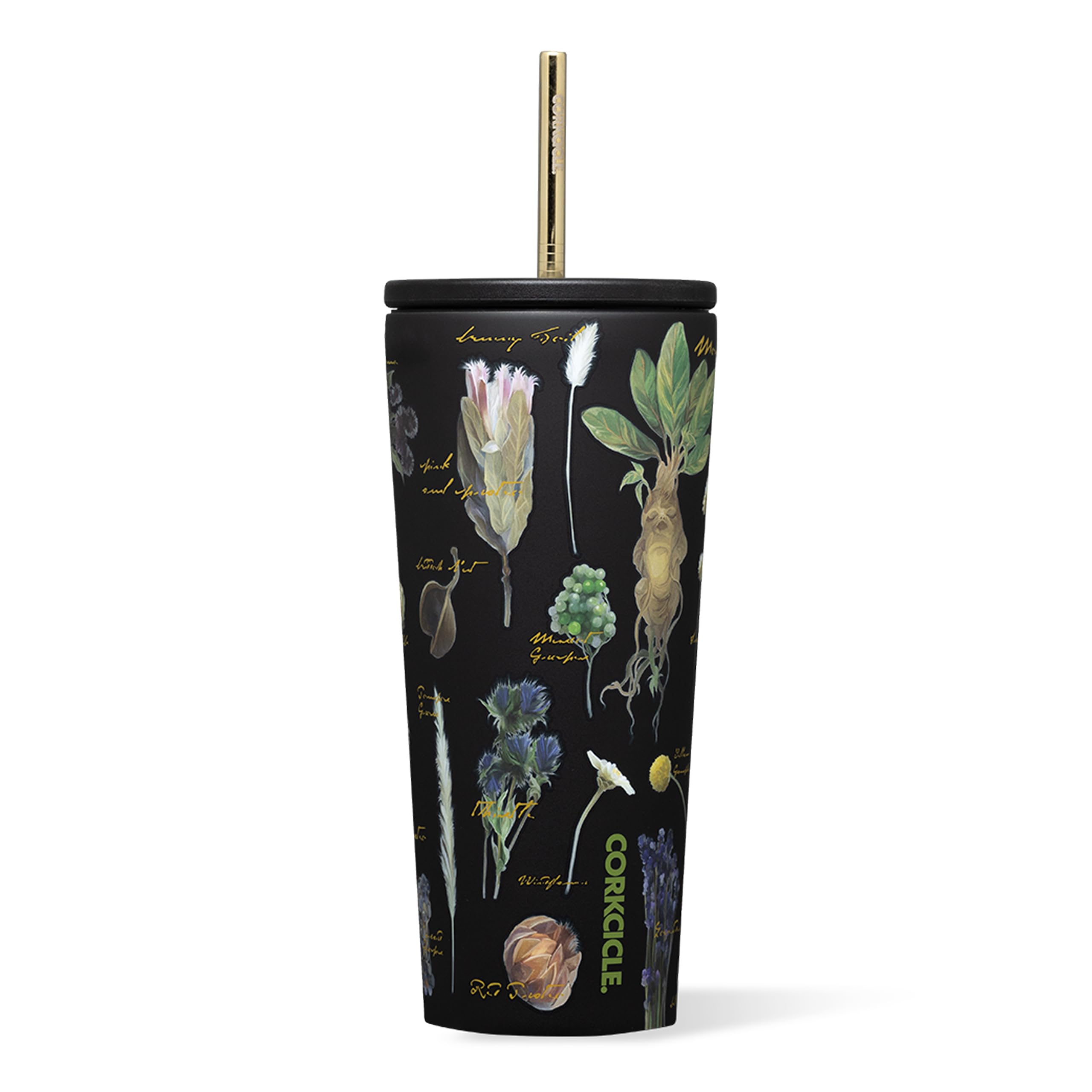 Warner Brothers Cold Cup - Keeps Drinks Cold for 12 Hours - Triple-Insulated Stainless Steel - Straw & Screw-On Lid - Summer Drinkware Gift - Keeps Drinks Ice Cold - 24 oz - Harry Potter