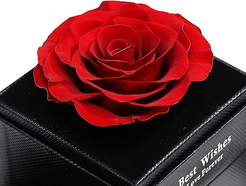 Miniatura 3 de Juego de regalo de joyería de rosa preservada con collar de amor, hecho a mano para ella en Navidad, día de la madre, cumpleaños, día de San