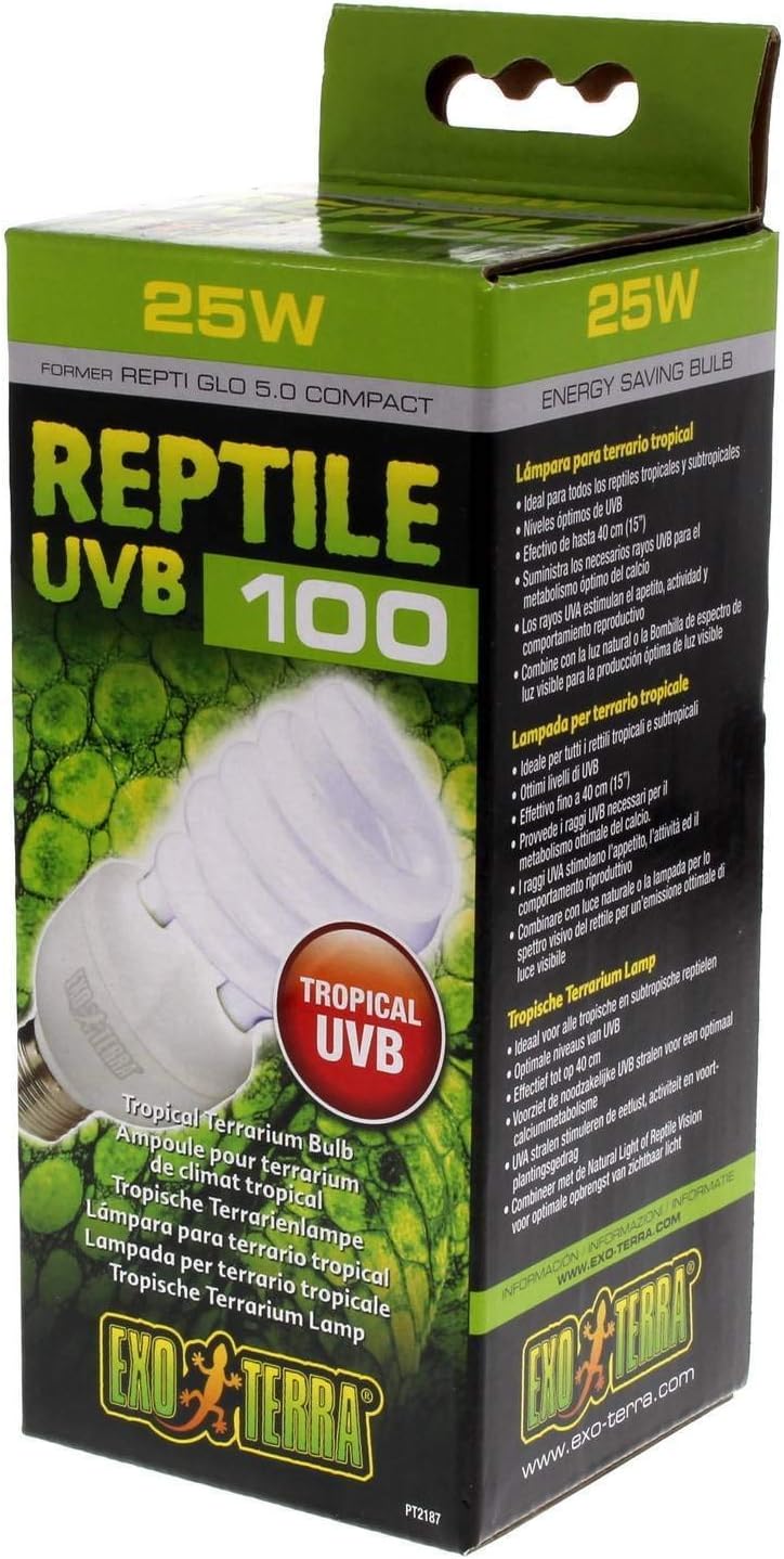 luce di calore per i rettili