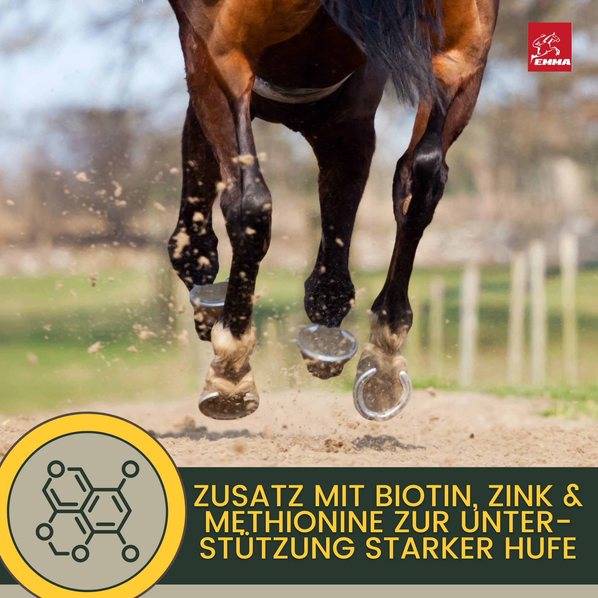 Biotin Plus cynk dla koni, 1 kg – wysoka dawka kuracja dla wzrostu kopyt i jakości kopyt – mineralna karma dla kopyt, sierść skóry – pomoc w przypadku wyprysku i niedoboru cynku – biotyna, cynk