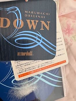 Amazon｜新 丸八真綿 ソワリー ホワイトグースダブル羽毛