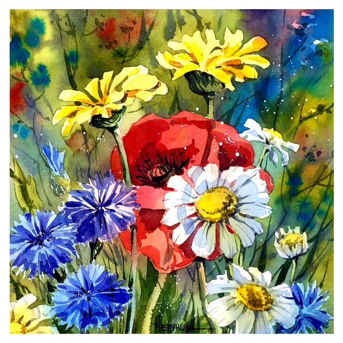 Whattacraft Paint by Numbers for Kids and Adults | Premium Painting Kit in Gift Tube Packaging| Rolled Canvas | Do-it-Yourself Wall Decor | DIY |Flowers in Wilderness