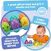 TOMY New Brightly Colored Hidden Eggs