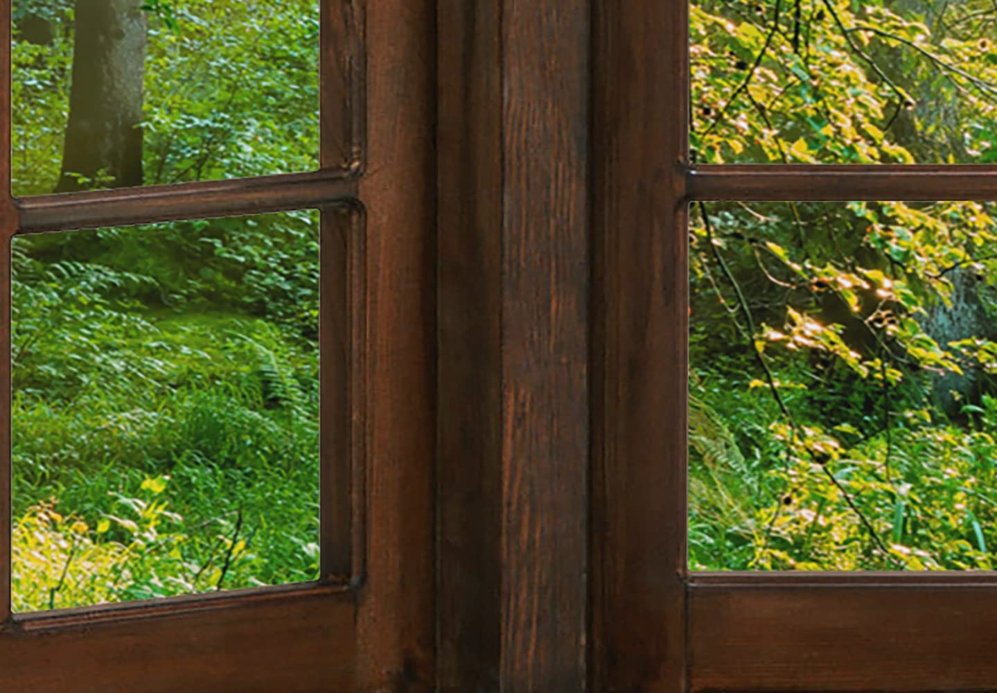 View 9