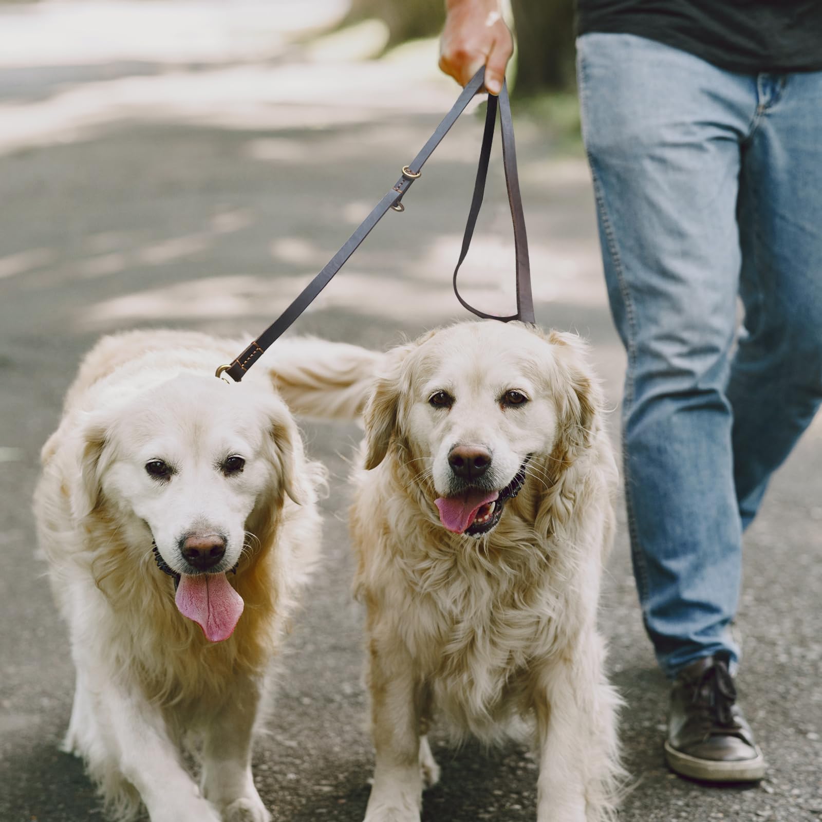 Hundeleine aus Leder, 2,4 m, strapazierfähig, echtes Leder, multifunktional, Starke Lederleine für kleine, mittelgroße und große Hunderassen, Hund Zubehör