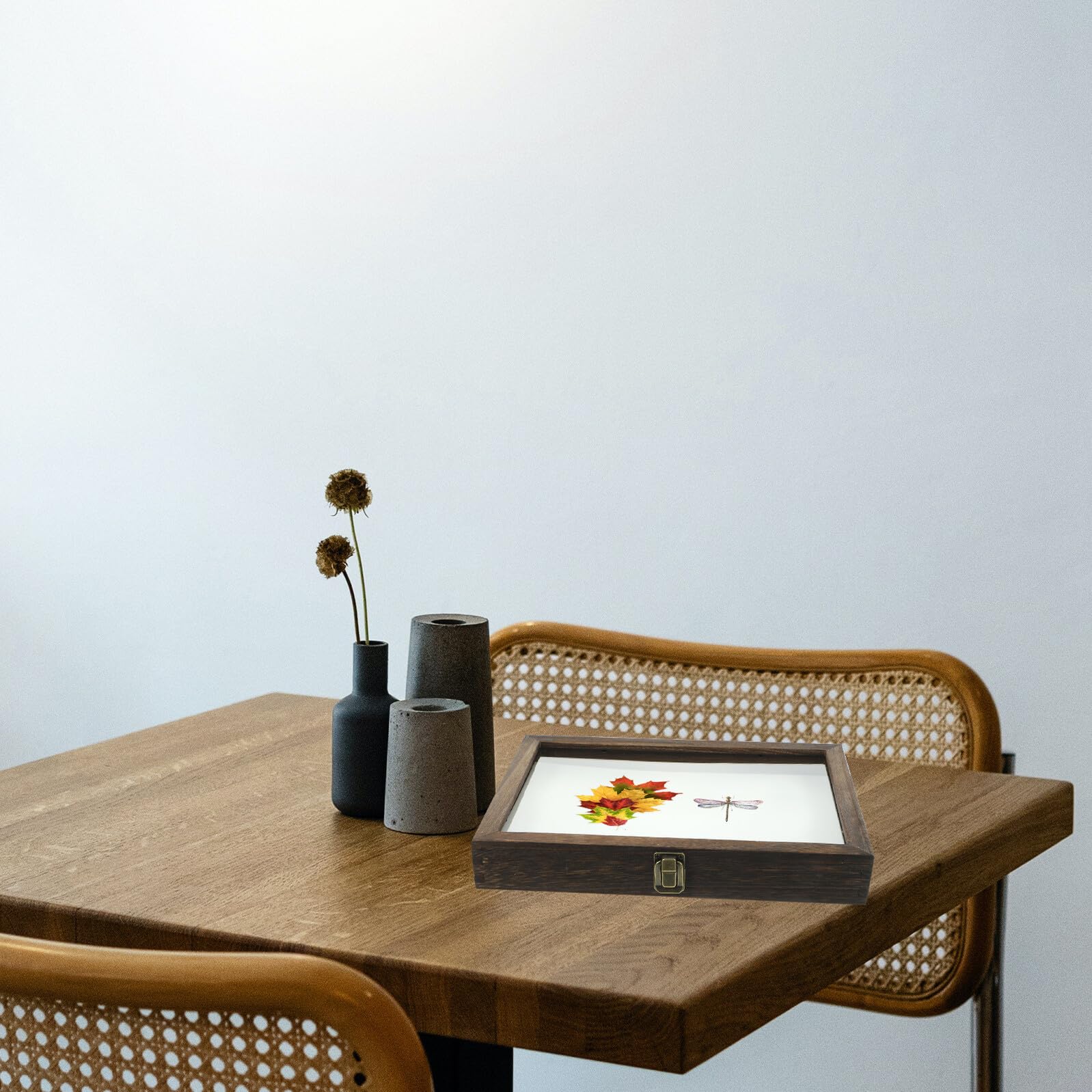 Espositore per Collezione e Decorazione da in Legno con Coperchio Trasparente , Vetrina Protettiva Anti Polvere per e Farfalle