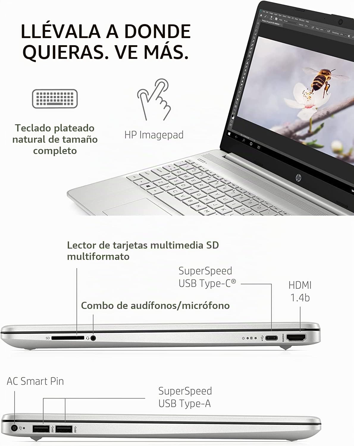 Amazon.com: HP [Windows 11 Pro] 15 15.6