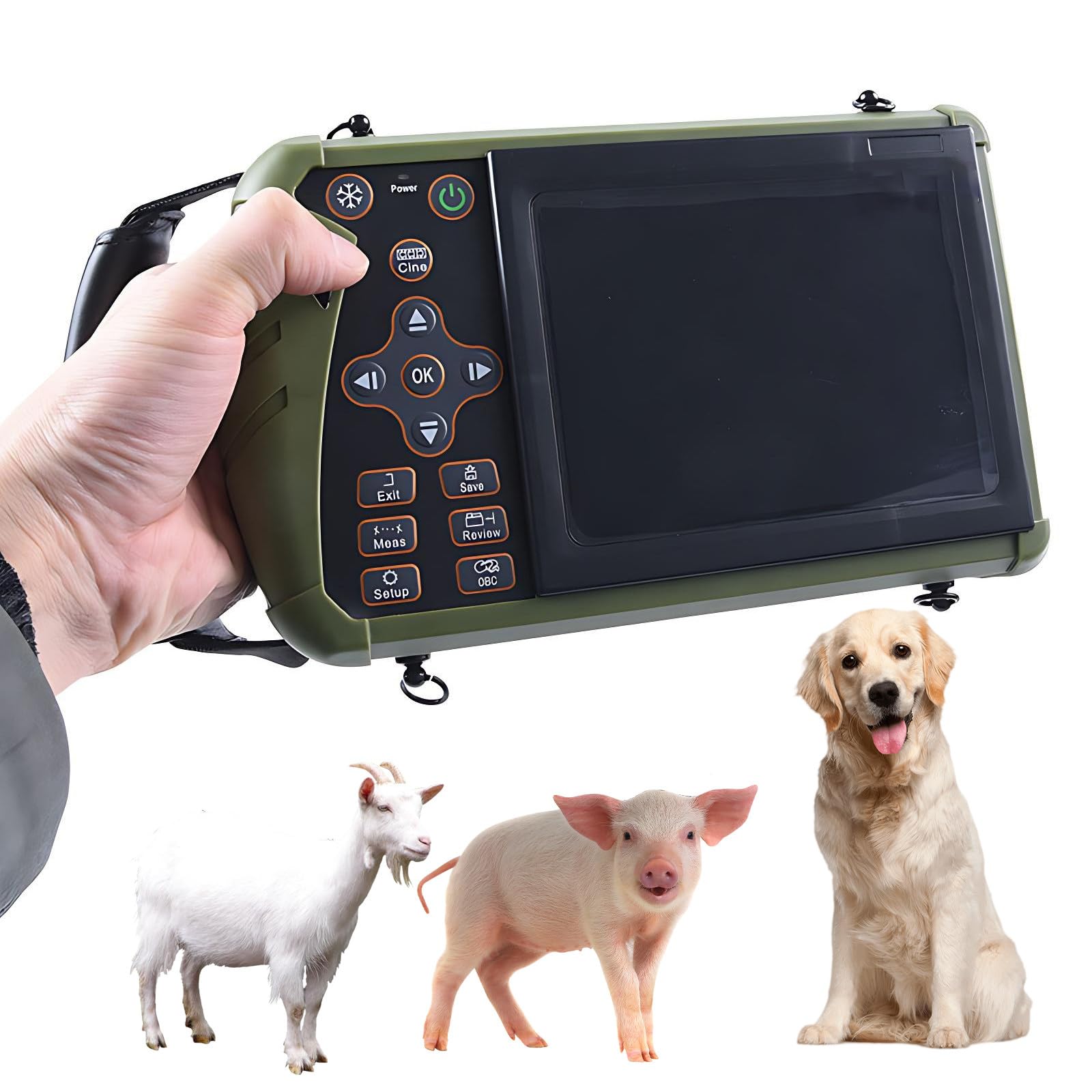 Echographe Vétérinaire Portable avec Sonde 3.5MHz pour Animaux de Taille Moyenne
