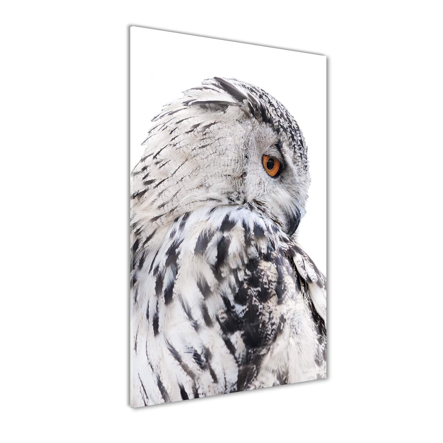 Impression sur verre acrylique Tulup 60x120 cm - Chouette blanche