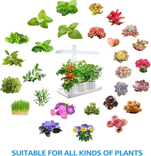 Miniatura 5 de TORCHSTAR - Kit de iluminación LED para jardín interior, Luz de crecimiento de planta, brazo ajustable a la altura, control táctil sensible, para