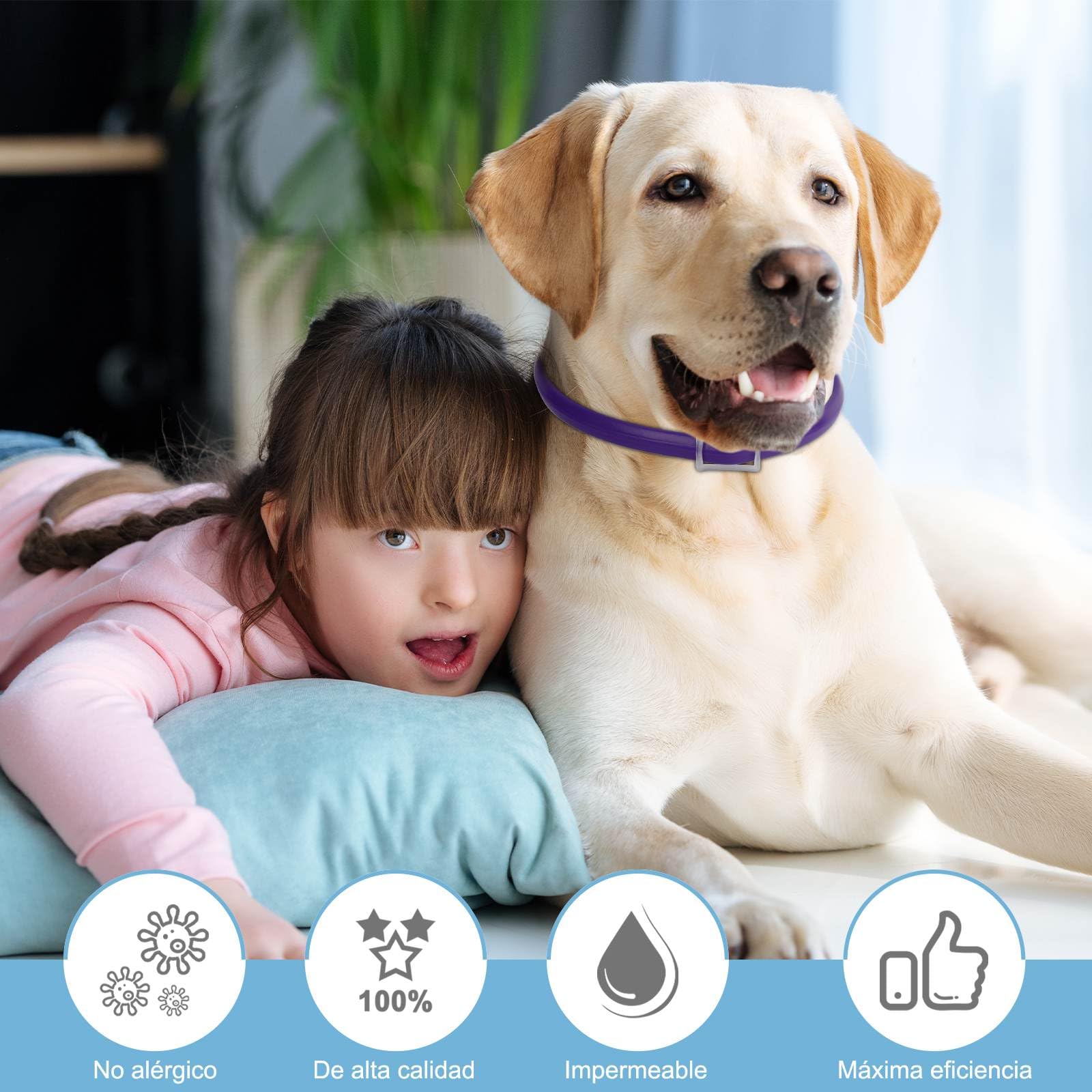 DEWEL Collares Antiparasitarios, Collares contra Pulgas y Garrapatas para Perros y Gatos, Collares Antipulgas Ajustable para Mascotas (Morado, 63.5 cm)