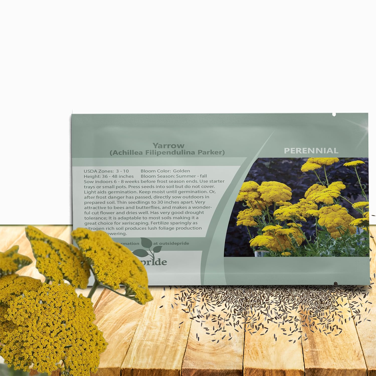 Outsidepride Parker Yarrow Seeds – 5000 Pcs. Perennial, Versatile, Clump-Forming, & Drought Tolerant Flower Seeds for Planting Fragrant & Vibrant Blooms, Ideal for Xeriscaping & Pollinator Gardens