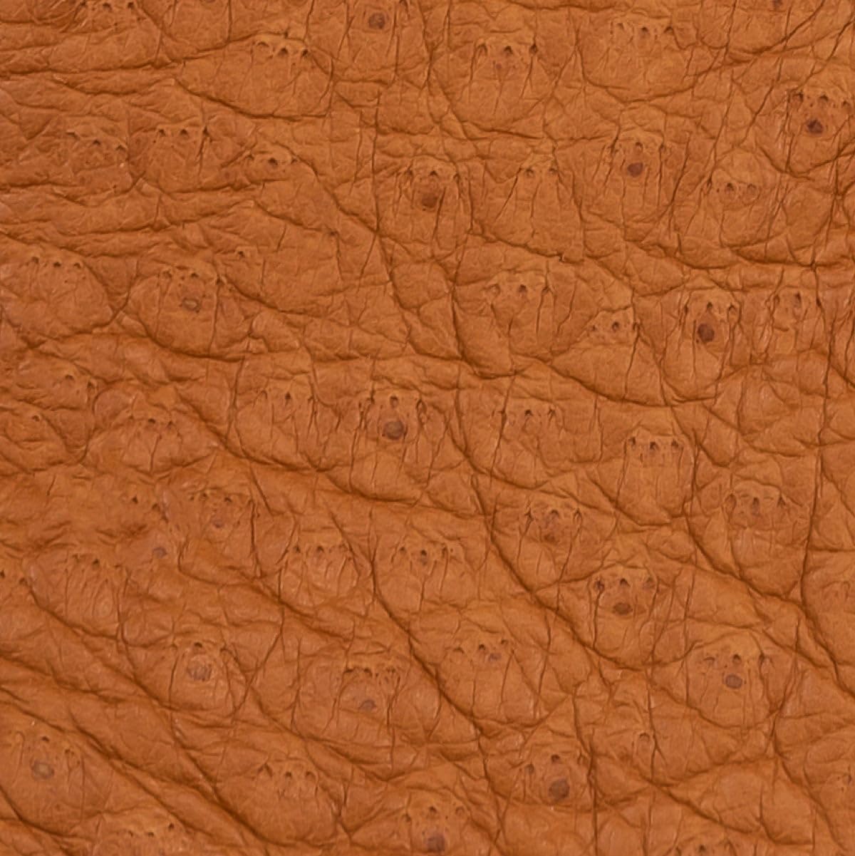 Fratelli Orsini Everyday Antonio (brown) - Italian peccary leather gloves with cashmere lining - Image 3