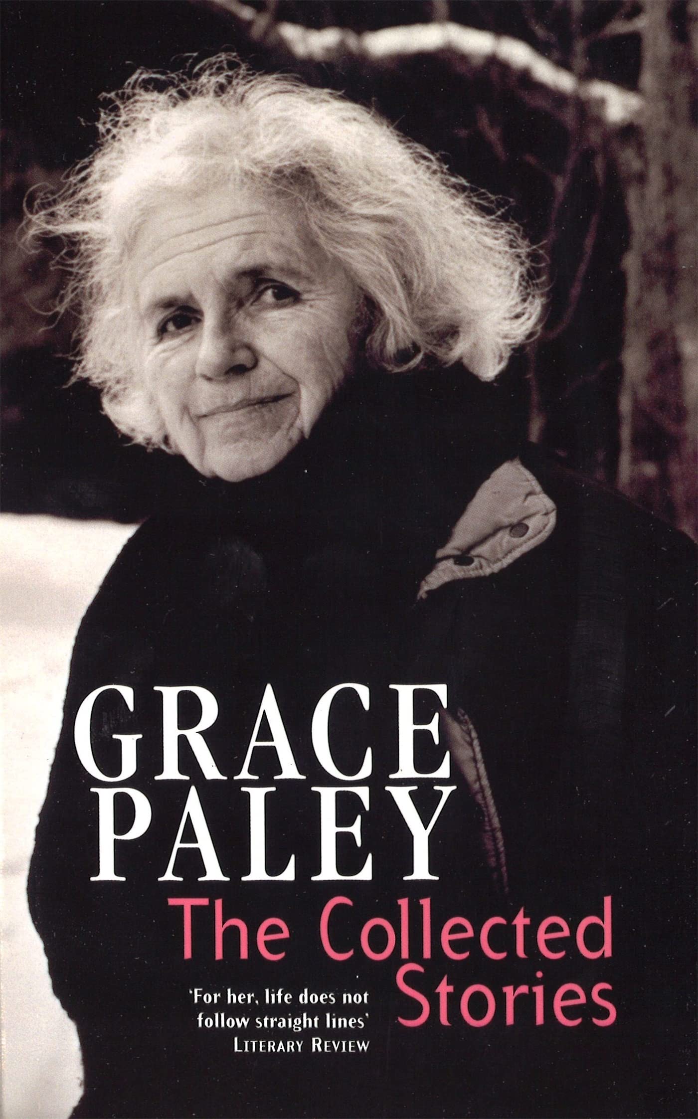 The Collected Stories of Grace Paley (Virago Modern Classics)